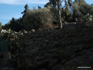 pomulini-11-03-2013 08-21-05